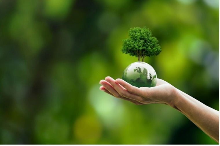 A hyperpigmented image of a hand holding a small globe with a tree on it.